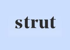 Strut Health Coupon Codes